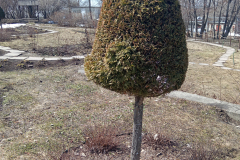 IMG_20260425_133618