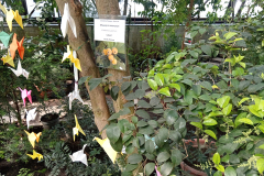 IMG_20260425_134509