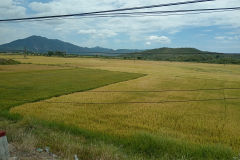 IMG_20260830_110503