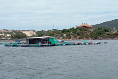 IMG_20260830_130042