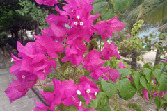 IMG_20260830_155113