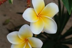 IMG_20260830_174747_122