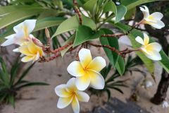 IMG_20260830_174808_828