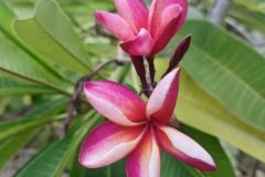 IMG_20260830_174844_982