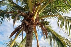 IMG_20260830_174949_928