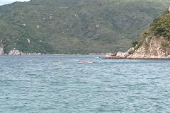IMG_20260831_082051