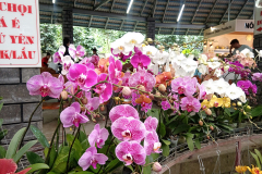IMG_20260901_145435