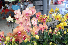 IMG_20260901_145450