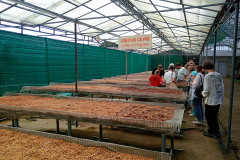 IMG_20260901_235210
