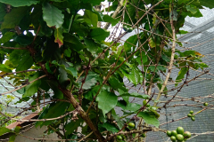 IMG_20260902_000740