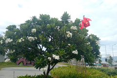 IMG_20260828_091328