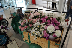 IMG_20260825_124334