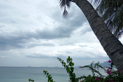 IMG_20260902_145953
