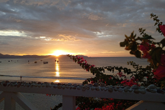 IMG_20260903_053910