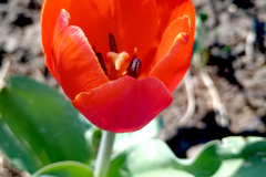 09