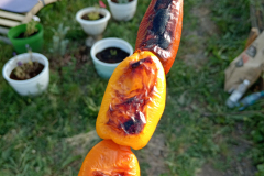IMG_20260620_192145