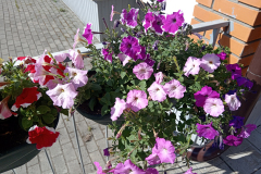 IMG_20260624_173045