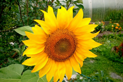 UOf2osQQrB6Plu1CjBpMq4KvYp5zBxJkPqvqMi9rvtOkg4V10IqZk6BTkB5r-A6aBMyWP-cOMrVE51b4rnAudRc_