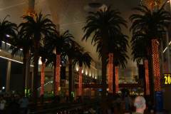 DSCF0034