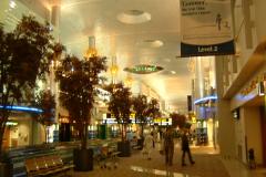 DSCF0042