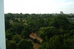 DSCF0102