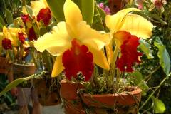 DSCF0119
