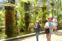 DSCF0130