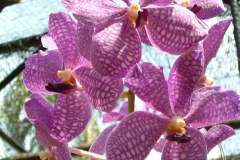 DSCF0141