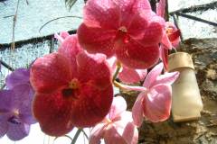 DSCF0142