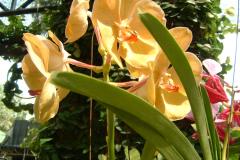DSCF0146