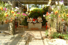 DSCF0148