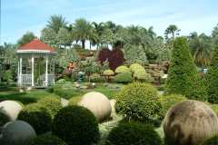 DSCF0153