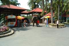 DSCF0156