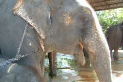 DSCF0172