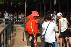 DSCF0193
