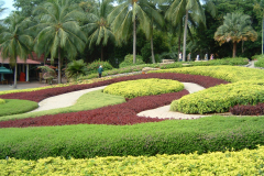 DSCF0210