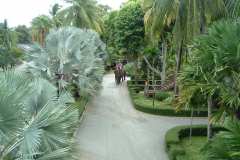 DSCF0213