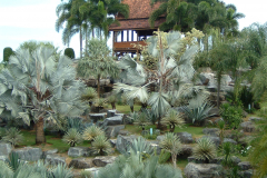 DSCF0215