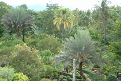 DSCF0217
