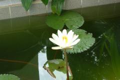 DSCF0232