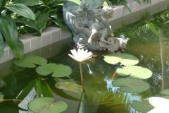 DSCF0233