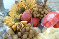 DSCF0281