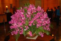 DSCF0360