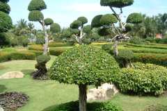 DSCF0421