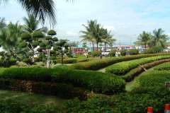 DSCF0423