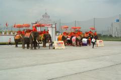 DSCF0446